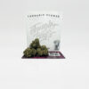 Buy Jungle Boys Weed UK | OZ Packs UK