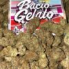 Bacio Gelato Strain