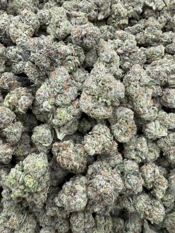 Barrackz Strain