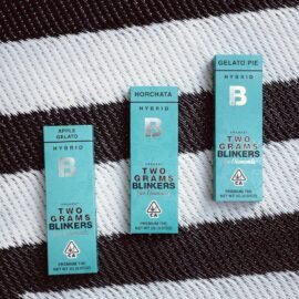 Blinkers Disposable Vapes