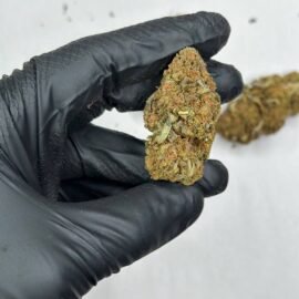 Bubba 88 Strain