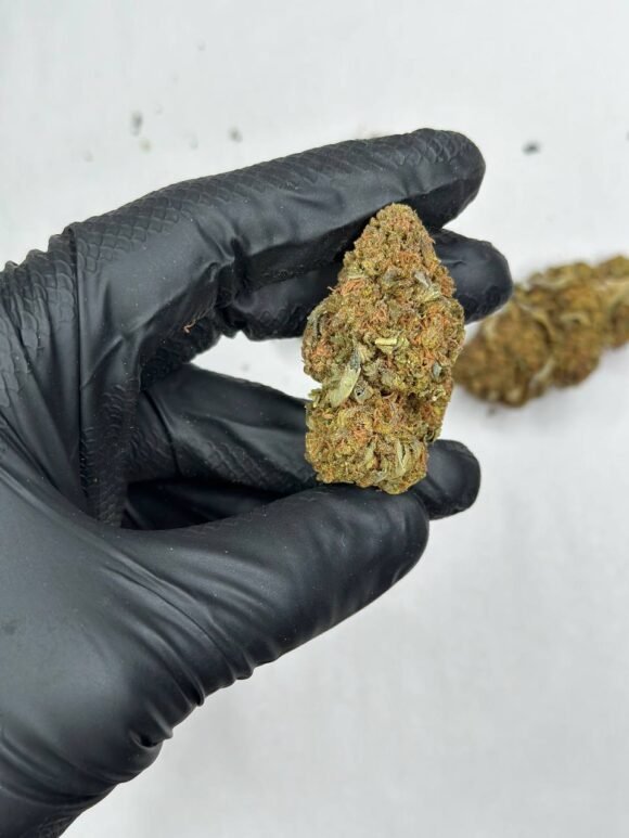 Bubba 88 Strain