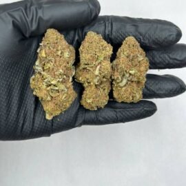 Bubba 88 Strain