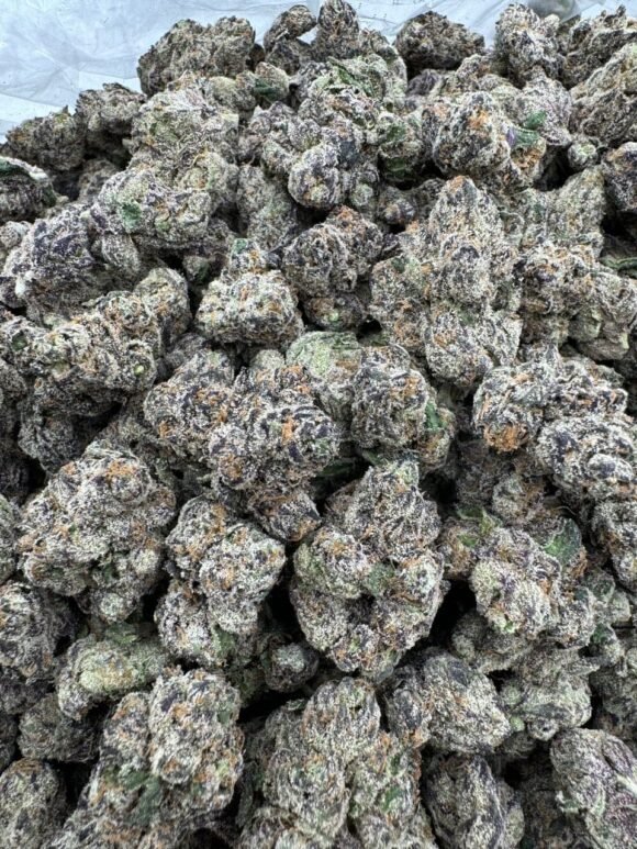 BubbleGum Runtz Strain