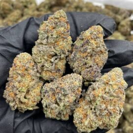 Cake Breath Strain