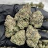 Cherry Hi-Chew Strain
