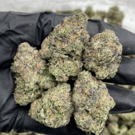 Cherry Hi-Chew Strain