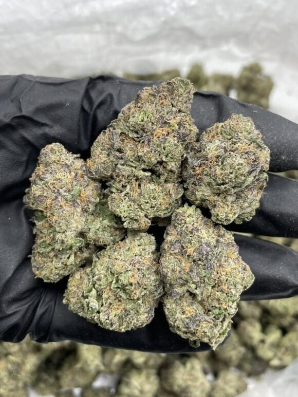 Cherry Hi-Chew Strain