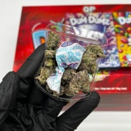 Dum Dumz Weed Strains