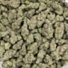 Garlic Cookies Strain