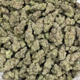 Garlic Cookies Strain