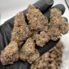 Guava Crasher Strain