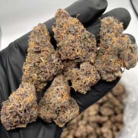 Guava Crasher Strain
