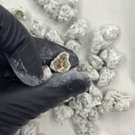 Icecaps Smalls Strain