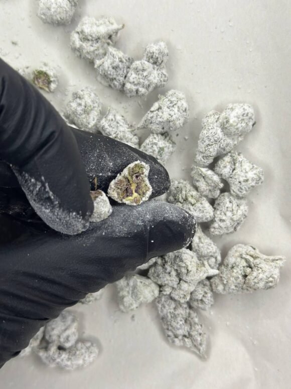 Icecaps Smalls Strain
