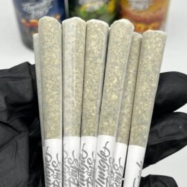 Jungle Boys Mini Pre Rolls