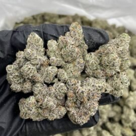 Lemon Cherry Delight Strain