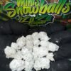 Persy Snowball Minis Zaza Strain