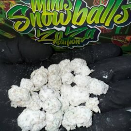 Persy Snowball Minis Zaza Strain