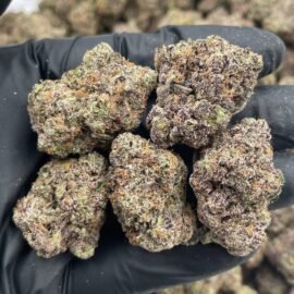 Rainbow Skittlez Strain