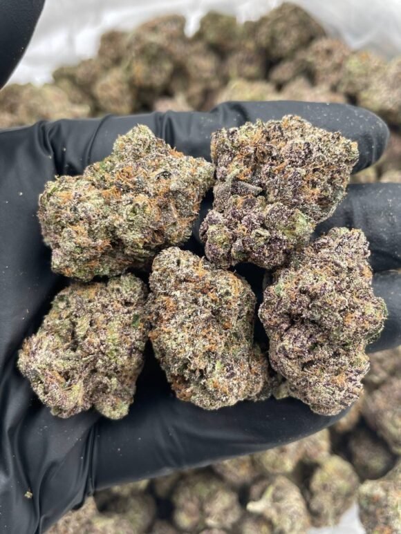 Rainbow Skittlez Strain