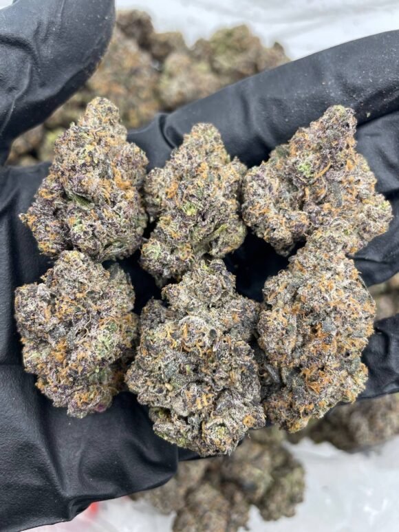 Rainbow Gelato Strain