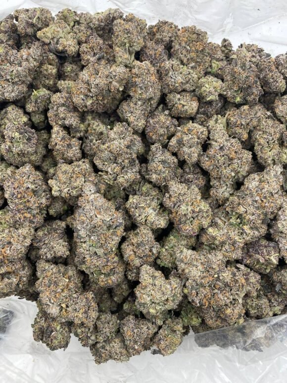 Rainbow Gelato Strain