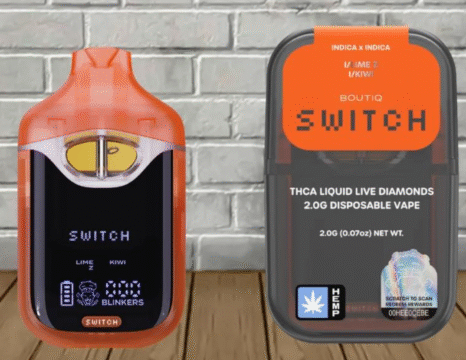 2G Boutiq Switch Disposable V4 Flavors