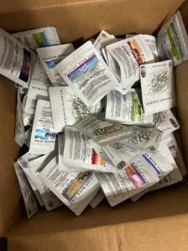 Available Jungle Boys strains