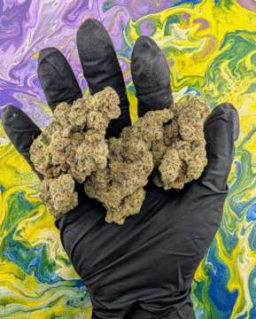 Jungle boys weed| Premium THC Flowers