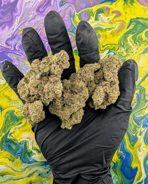 Jungle boys weed| Premium THC Flowers