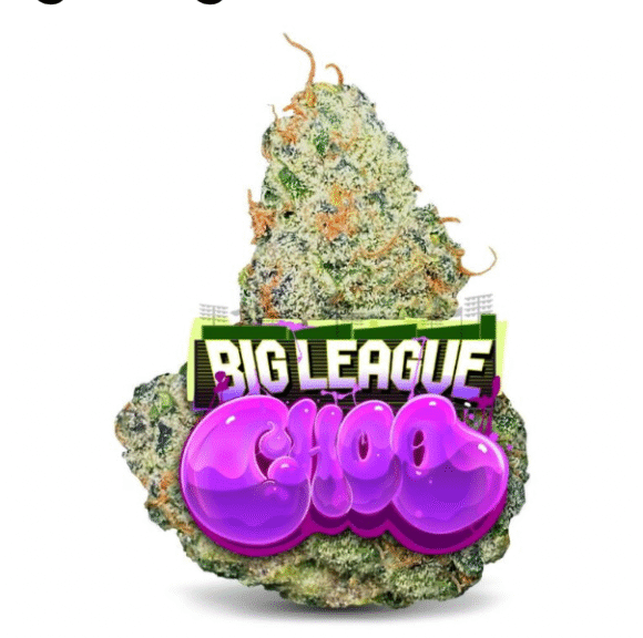 Jungle Boys Weed Big league choo