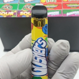 Norder Disposable Review