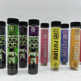 2020 Future Pre Roll