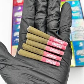 Snoozies Pre Rolls