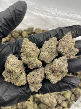 Some THC Super Runtz Strain