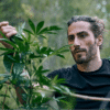 Choosing the Right Weed Strain