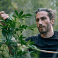 Choosing the Right Weed Strain