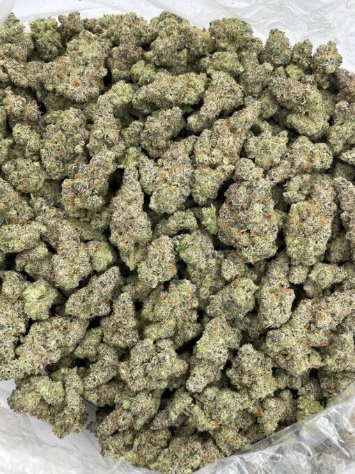 Garlic Cookies Strain