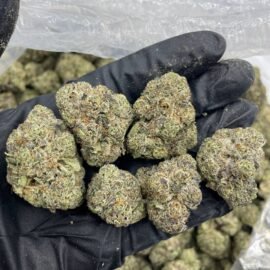 Jokerz Candy Strain