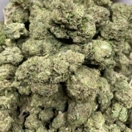 London Jelly Strain