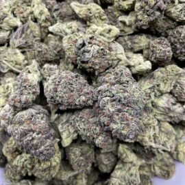 Money Bag Strain
