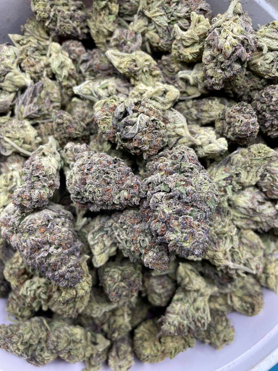 Money Bag Strain