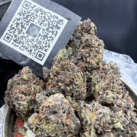 Purple Jealousy Strain