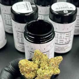 The Ten Co Strain
