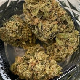 Topanga Canyon Strain