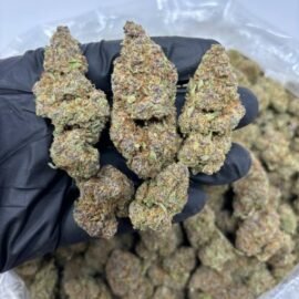 Trop Cherry Strain