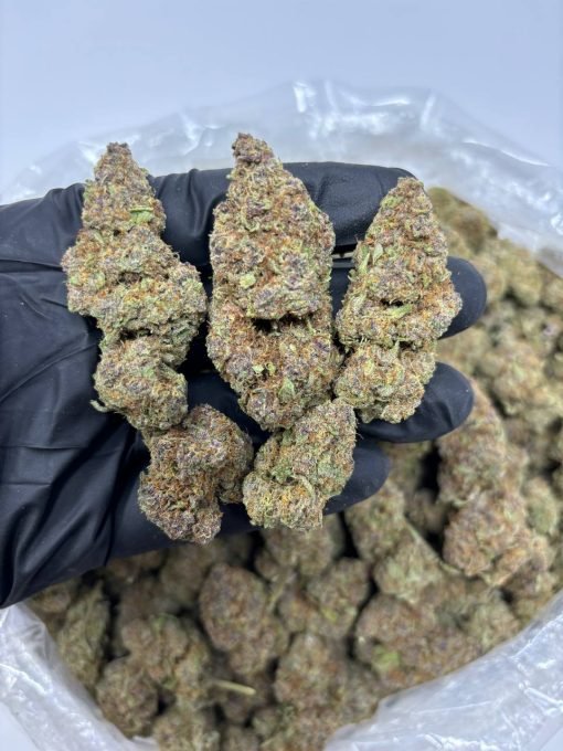 Trop Cherry Strain