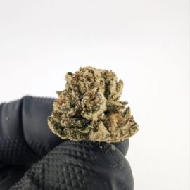 Umami Butter Strain
