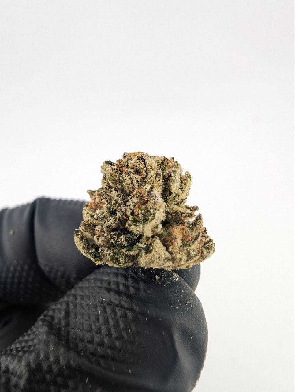 Umami Butter Strain